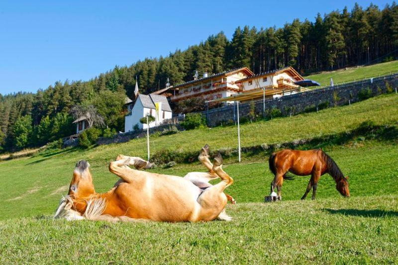 Gasthaus Bad Siess Longostagno المظهر الخارجي الصورة