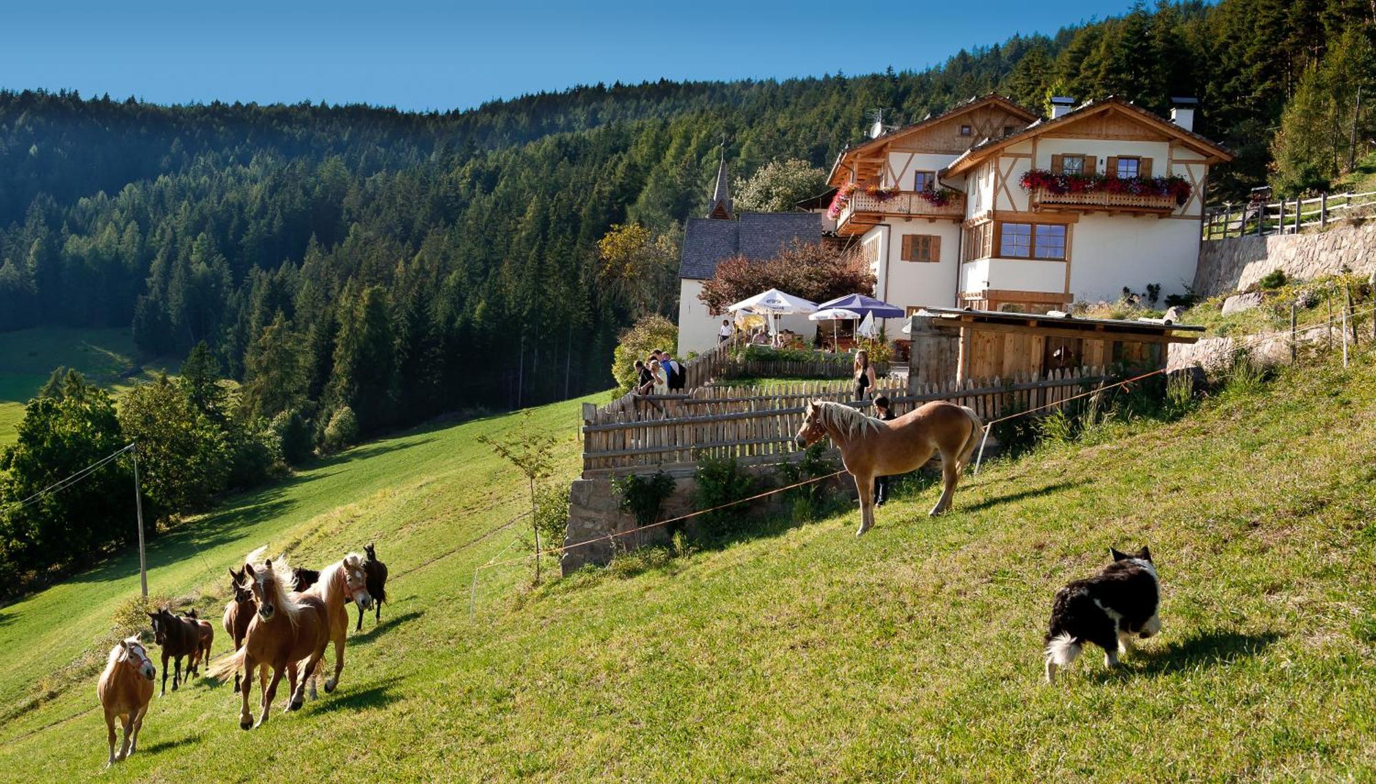 Gasthaus Bad Siess Longostagno المظهر الخارجي الصورة